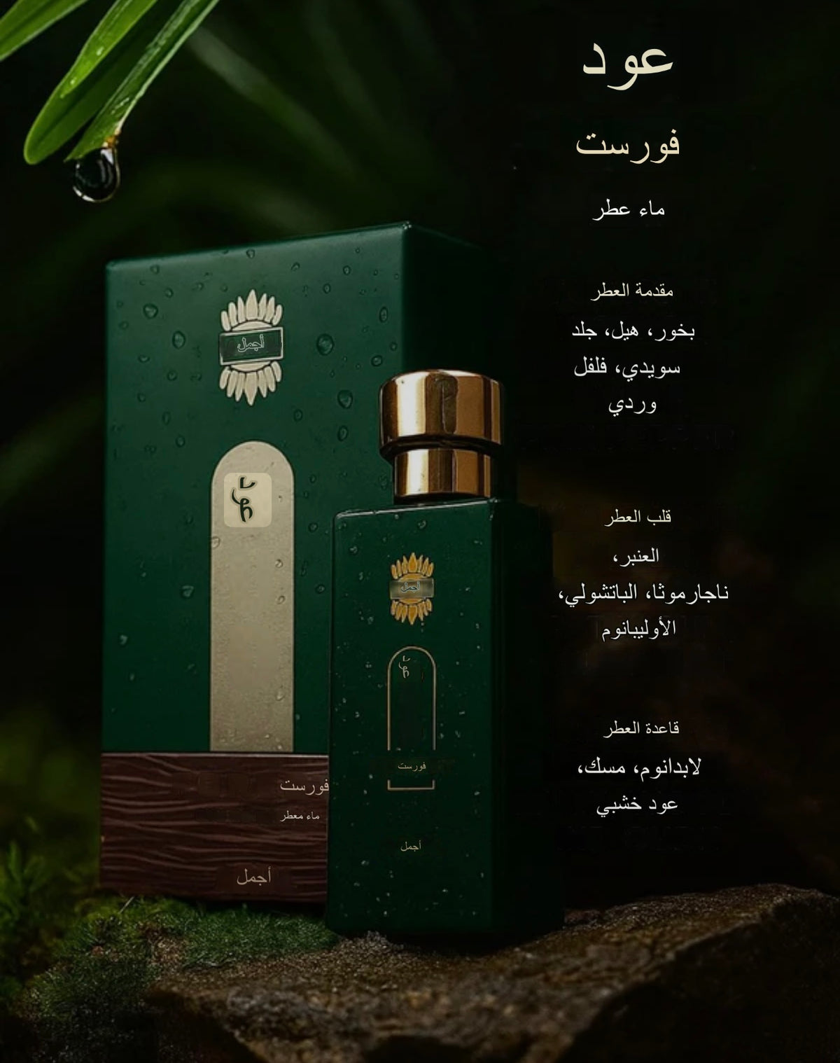 Ajmal Forest perfume